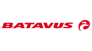 logo batavus