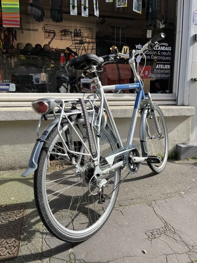 Vélo hollandais Gazelle Fuente vue de dos