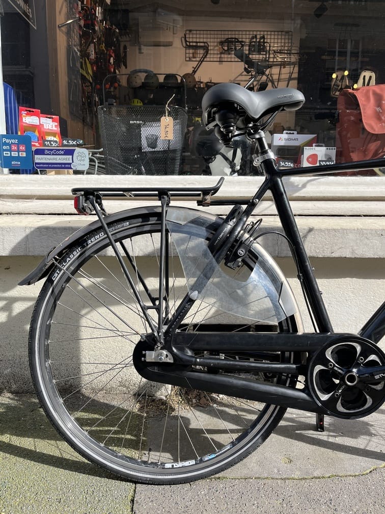 Vélo hollandais Multicycle dérailleur
