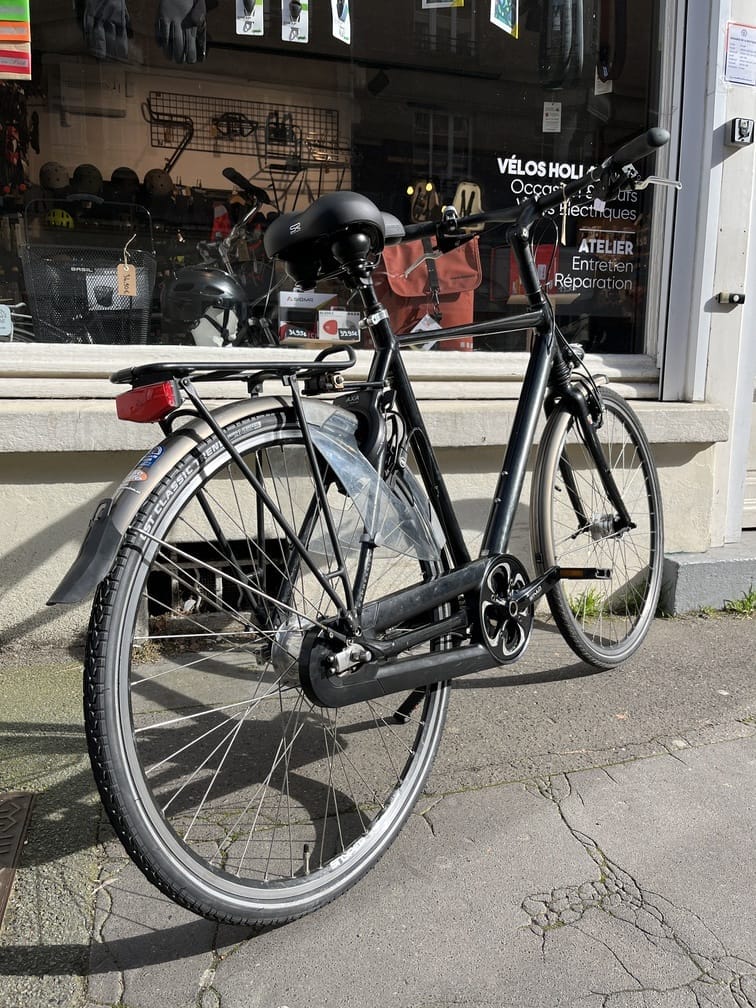 Vélo hollandais Multicycle
