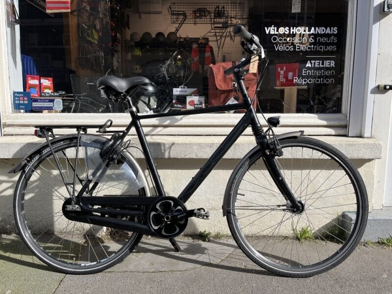 Vélo hollandais Multicycle vue de profil